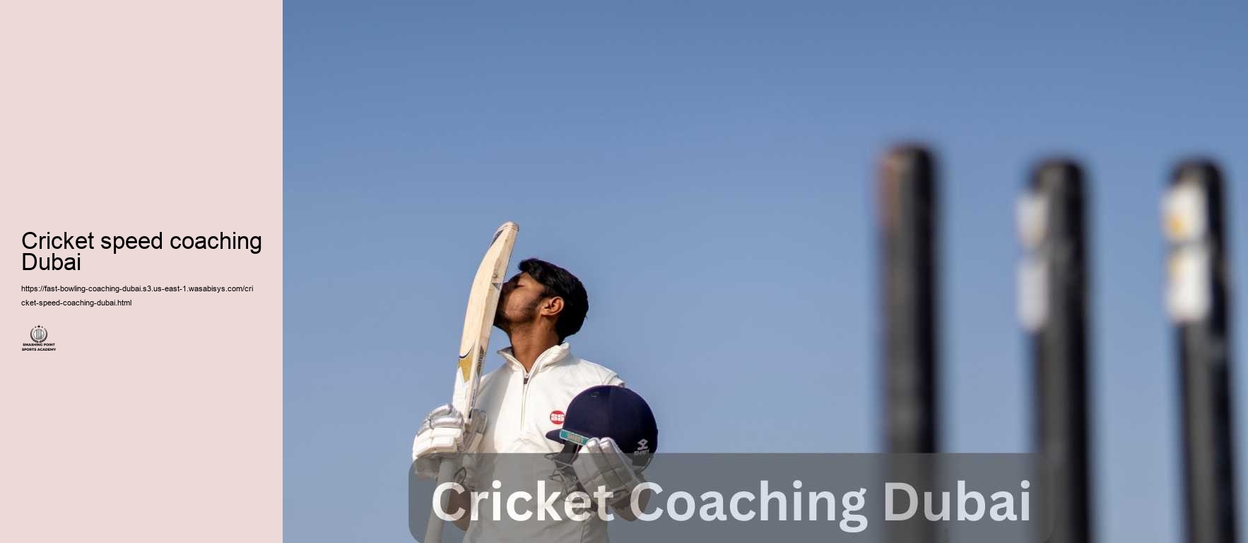 Cricket speed coaching Dubai