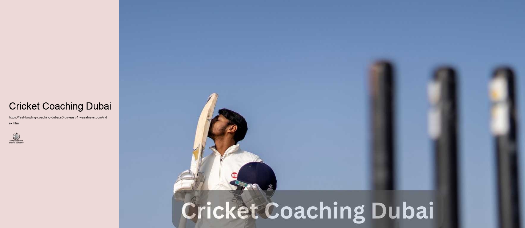 Cricket Coaching Dubai